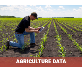 Man inspecting young corn field with tablet titled "Agriculture Data"