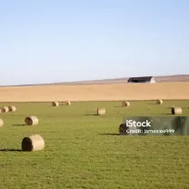 Thune Agriculture